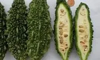 خواص عجیب و فوق‌العاده میوه خیار تلخ