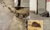 صحنه‌ عجیبی که از یک بی‌خانمان ثبت شد