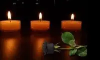 دختر زخمی در شلیک پلیس به خودرو، درگذشت