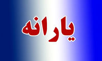 شرط حذف نشدن یارانه ایرانیان مقیم خارج