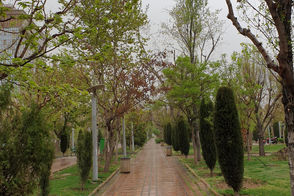 تصویر باورنکردنی از وضعیت پارک هنرمندان تهران