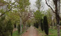 تصویر باورنکردنی از وضعیت پارک هنرمندان تهران