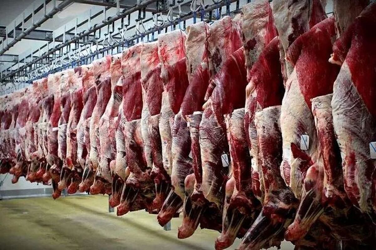 قیمت جدید گوشت در بازار اعلام شد