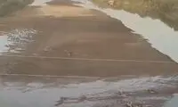 رودخانه دز خشکید