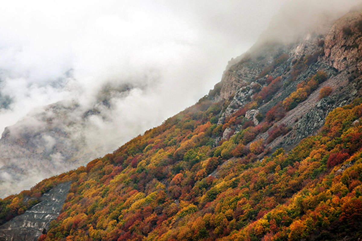 تصاویر اولین برف پاییزی در جاده چالوس