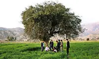 اسرار تازه از جنجالی‌ترین روستای سال‌های اخیر ایران
