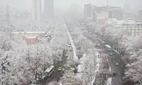 جزئیات برکناری تعدادی از مدیران شهرداری تهران