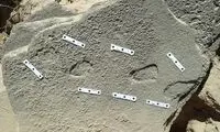 باورنکردنی؛ کشف یک کفش 148 هزار ساله