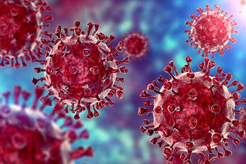 احیا ویروس زامبی توسط دانشمندان در سیبری!