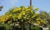 حکم جالب قاضی برای نوجوان اهل خوزستان 