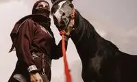 زن کماندار و شمشیرباز عربستان سعودی روی اسب را ببنید