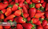 کشف تریاک با طعم توت‌فرنگی در جنوب تهران