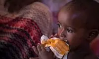 فاجعه کمبود مواد غذایی در جهان در راه است