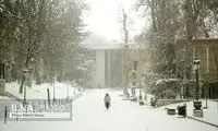 تصویری از حجم دیدنی برف در کاخ نیاوران