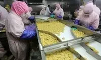 کاهش عجیب و بی‌سابقه فروش صنایع غذایی 