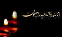 محسن وزیری درگذشت
