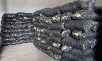 کشف ۲۷۰ تُن سیب‌زمینی احتکارشده در بروجرد