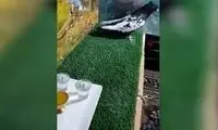 دو ویدیو از شکنجه وحشیانه حیوانات در ایران