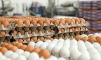ادعای عجیب درباره قیمت واقعی تخم‌مرغ!