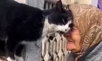 رابطه باورنکردنی یک گربه با پیرزن ترک