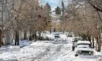 آقایان! از دیدن این عکس احساس شرم نمی‌کنید؟