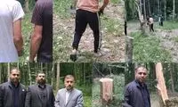 قطع ۶۴ درخت به دلیل انتقام‌جویی شخصی!
