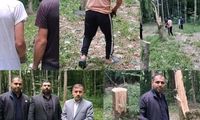 قطع ۶۴ درخت به دلیل انتقام‌جویی شخصی!