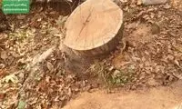 اطلاعیه کاخ سعدآباد در واکنش به یک خبر جنجالی
