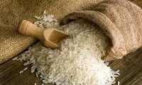 وزارت جهاد: «تغییر ذائقه مردم» عامل گرانی برنج است