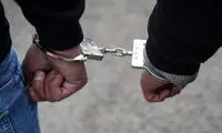 صدور حکم ۳۲سال حبس برای ۲موبایل‌قاپ خشن!