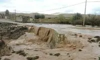 سیل مازندران یک خرس را با خودش برد!