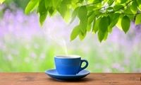 تغذیه مناسب برای کاهش استرس 