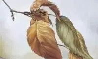 خطای دیدی که می‌تواند شخصیت شما را آشکار کند