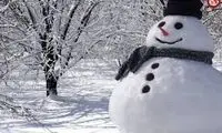 هنرنمایی جالب چند جوان ایرانی در ساخت آدم برفی