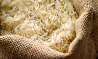 برنج پاکستانی جایگزین برنج هندی شود