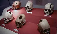 ۱۷ واقعیت عجیب که باورتان را تغییر می‌دهند