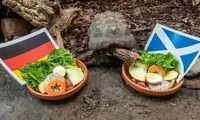 کودتای باغ وحش برلین علیه تیم‌ملی آلمان!