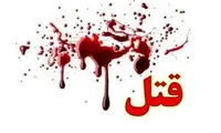 قتل در امامزاده داوود به دلیل حقابه‌!
