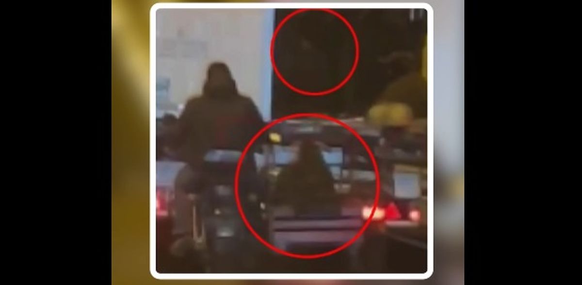 سرقت عجیب گوسفندان از کامیون در حال حرکت!