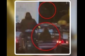 سرقت عجیب گوسفندان از کامیون در حال حرکت!