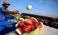 این میوه پرطرفدار به زودی ایرانی‌ها را بدبخت می‌کند!