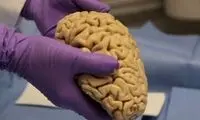 خاطراتی که مغز برای ما می‌سازد!