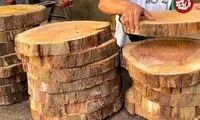 مهارت استاد مکزیکی در تبدیل تنه درخت به یک میز زیبا 