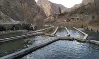 شهری که ماهی‌ها عاشقش می‌شوند