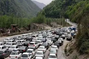 مهمانی دارکِ صبح چهارشنبه در شمال ایران!