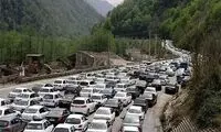 مهمانی دارکِ صبح چهارشنبه در شمال ایران!