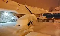 ویدئویی از بارش زیبای برف در استان کرمانشاه