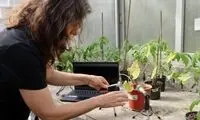 صدای ناراحتی گیاهان شنیدنی شد!