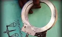 مجازات سنگین برای سرقت سگ خانگی گران قیمت 
