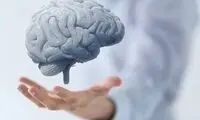 این افراد مغز بزرگتر و سالم‌تری دارند